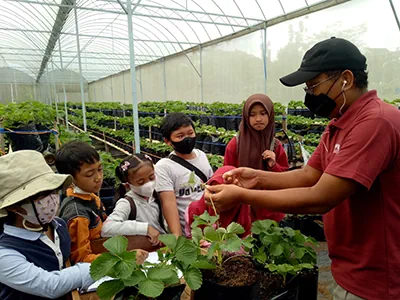 Staff kptt salatiga